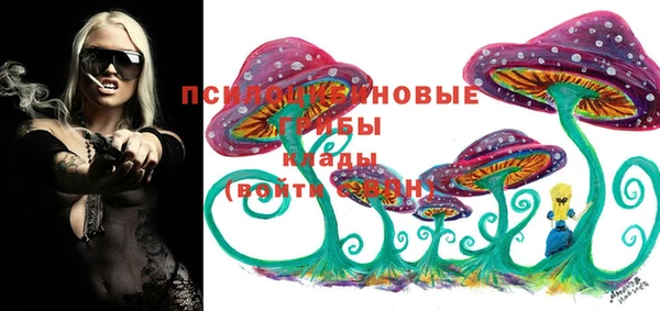 mdpv Горняк