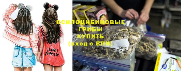 mdpv Горняк